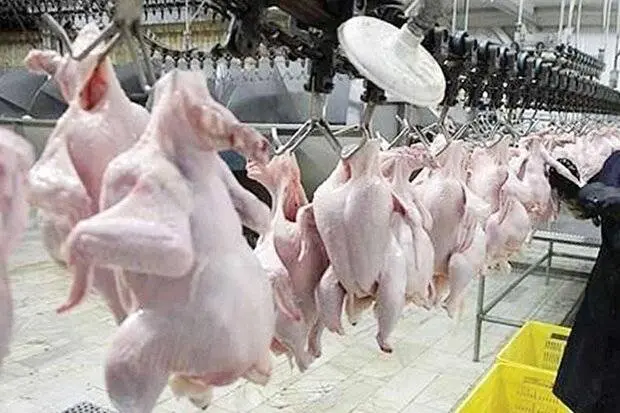 قیمتهای مصوب گوشت مرغ و تخم مرغ تا پایان سال جاری تغییر نمیکند