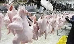 قیمت‌های مصوب گوشت مرغ و تخم مرغ تا پایان سال جاری تغییر نمی‌کند