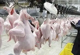 قیمت‌های مصوب گوشت مرغ و تخم مرغ تا پایان سال جاری تغییر نمی‌کند