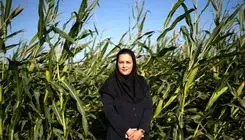 یک زن در دل صنعت مردانه