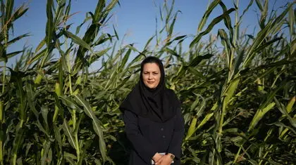 یک زن در دل صنعت مردانه