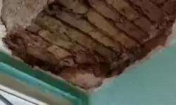 ماجرای ریزش سقف یکی از خوابگاه‌های دانشگاه تهران