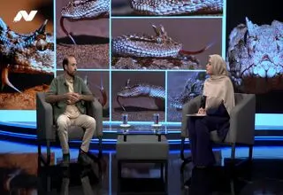 مردی که « زبان» مارها را می‌فهمد