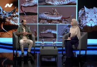 مردی که « زبان» مارها را می‌فهمد