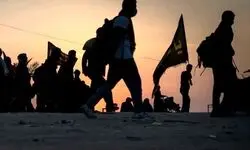 حاجی بابایی: یارانه برخی از زوار اربعین حذف شده است