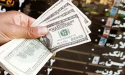 قیمت ارزو دلار؛ فروش ۱۱۵ هزار و ۲۵۰ تومانی دلار