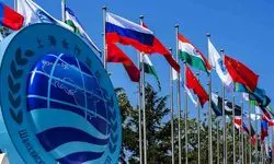 تاکید معاون بانک مرکزی بر آمادگی ایران برای مشارکت عملی در سازکار‌های مالی سازمان همکاری شانگهای