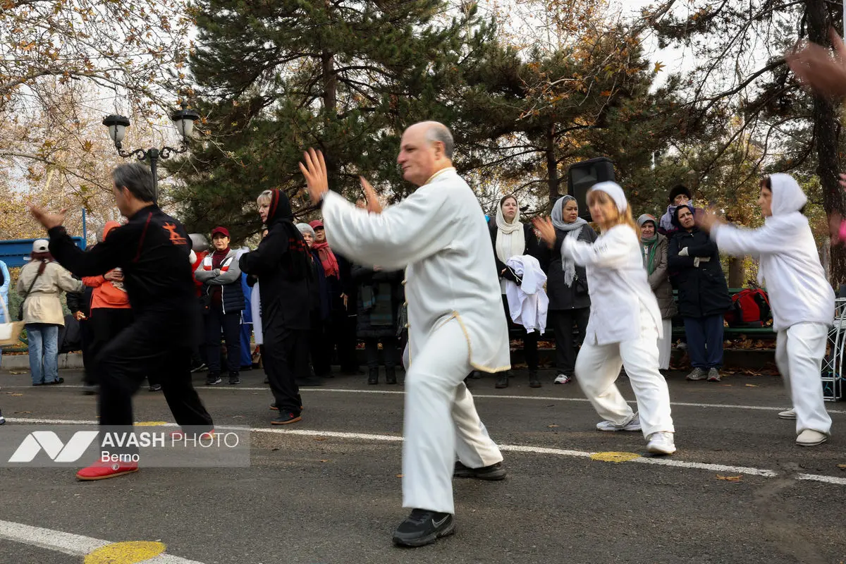 همايش بايبزى تای جی