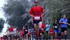 چرا ماراتن کیش سوژه شد؟ 