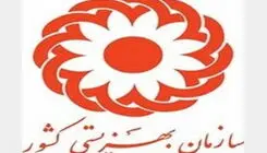واریز ۴ میلیون و ۲۰۰ هزار تومان برای خانوار‌های سه‌نفره سازمان بهزیستی و کیته امداد