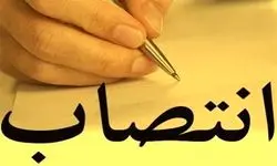 انتصاب مدیرعامل صندوق حمایت از سرمایه‌گذاری صنایع کوچک