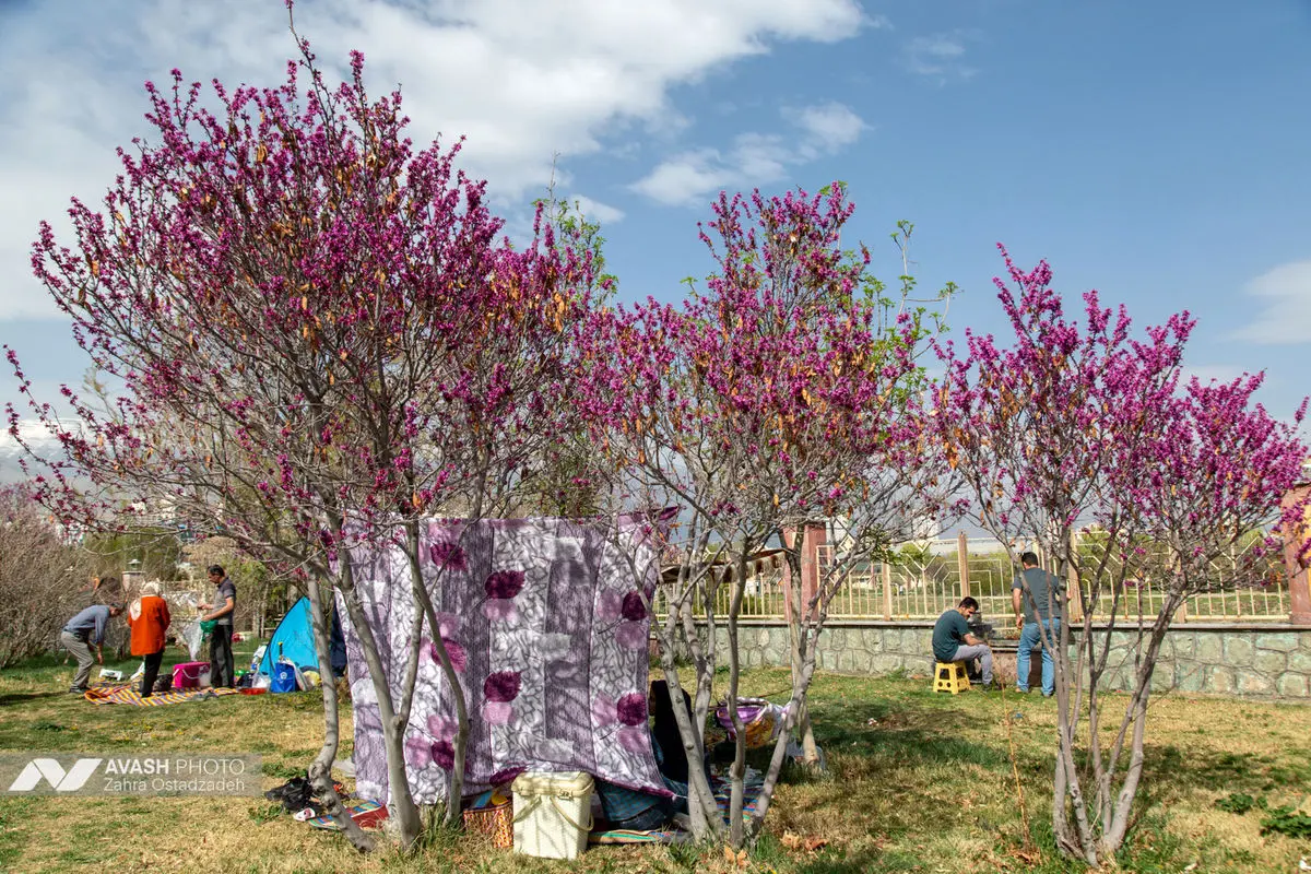 روز طبیعت در تهران