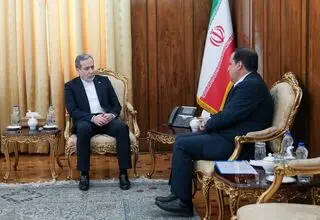 استاندار ایلام با عراقچی دیدار کرد