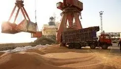 ابلاغ ضوابط و مقررات جدید واردات و توزیع نهاده‌های دامی