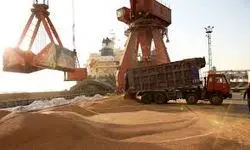 ابلاغ ضوابط و مقررات جدید واردات و توزیع نهاده‌های دامی