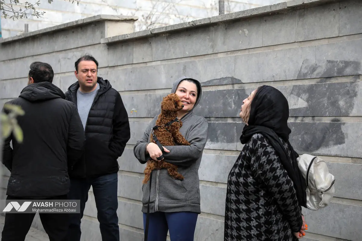 حمله موشکی به دفتر شبکه العربی قطر در تهران