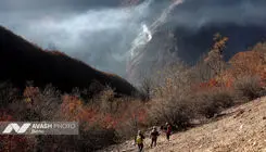 سوادکوه از بحران تازه جان سالم به در برد