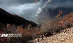 سوادکوه از بحران تازه جان سالم به در برد