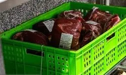 کنترل قیمت گوشت در بازار با افزایش عرضه شدنی است