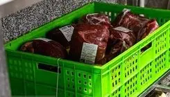 کنترل قیمت گوشت در بازار با افزایش عرضه شدنی است