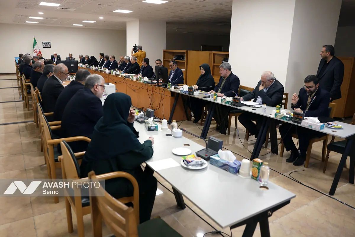 جلسه هیات دولت به ریاست معاون اول رئیس جمهور