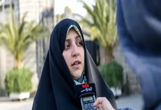 تصمیم به استرداد لایحه تامین امنیت زنان گرفته شد 