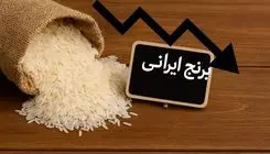 خبر رسمی درباره قیمت برنج اعلام شد | عدم تمایل فروش در برخی کشاورزان