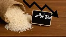خبر رسمی درباره قیمت برنج اعلام شد | عدم تمایل فروش در برخی کشاورزان