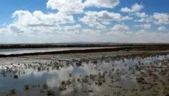 وضعیت تالاب‌ها بعد از بارندگی‌های اخیر