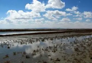 وضعیت تالاب‌ها بعد از بارندگی‌های اخیر