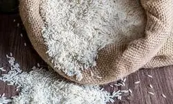 قیمت برنج ایرانی درجه یک ۳.۶ درصد افزایش یافت