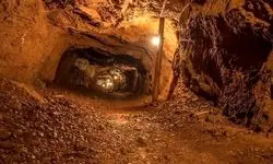 طلای جنوب دوباره درخشید 