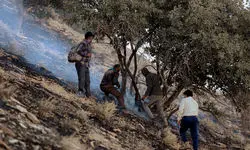 به مناسبت روز جهانی محیط زیست 