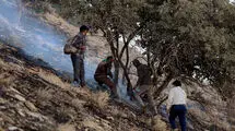تنها ۳۵۰۰ محیط‌بان مسئول مراقبت از ۱۰ درصد وسعت کشور هستند