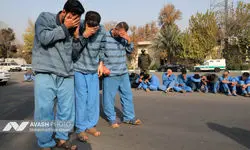 پاتک پلیس به «تبهکاران دوربینی»