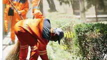 استخدام با حقوق ماهانه 25میلیون تومان +جزئیات