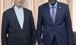 سفیر ایران با مقام ارشد نیجر گفتگو کرد