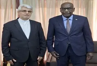 سفیر ایران با مقام ارشد نیجر گفتگو کرد