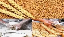 واردات گندم با هدف تنظیم بازار و حفظ ذخایر استراتژیک انجام می‌شود