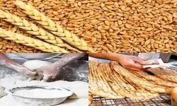 واردات گندم با هدف تنظیم بازار و حفظ ذخایر استراتژیک انجام می‌شود