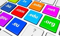 دو پسوند دات‌آی‌آر (ir.) و co.ir بیشترین دامنه‌ فعال فارسی