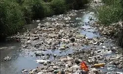 مرگ تدریجی در مهد باران ایران/ گیلان غرق در شیرابه و مردم محتاج آب معدنی!