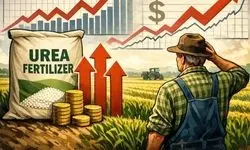 شوک باروت سفید در گلوگاه هرمز/ وقتی اوره برای جهان از بمب اتم خطرناک‌تر می‌شود