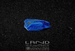 «سرزمین» به خانه هنرمندان می‌آید