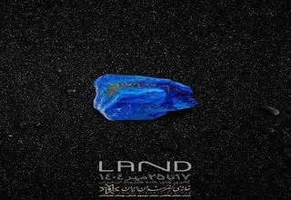 «سرزمین» به خانه هنرمندان می‌آید