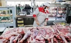 رشد ۱۰ درصدی عرضه گوشت قرمز نسبت به فروردین ماه 