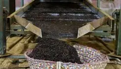 چای خشک خارجی مشمول ترخیص صددرصدی شد