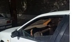 تشریح جزئیات بیشتر از ماجرای روحانی ربوده شده در ایرانشهر