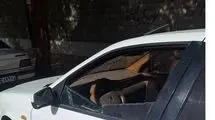تشریح جزئیات بیشتر از ماجرای روحانی ربوده شده در ایرانشهر