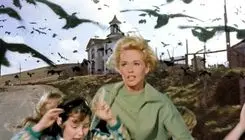 فیلمی از « هیچکاک» در شبکه نمایش پخش می‌شود